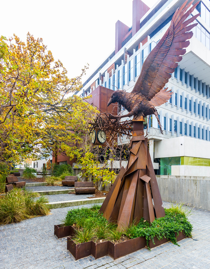 new acton east eagle new acton, canberra, australian capit… guy