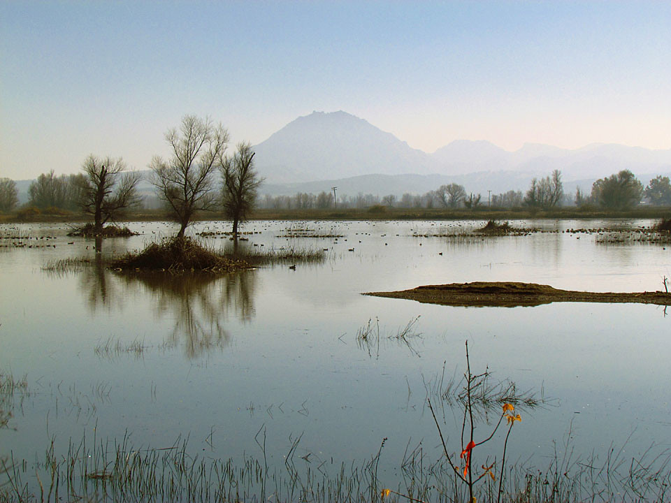 Sutter Buttes and Pond Harry Flickr