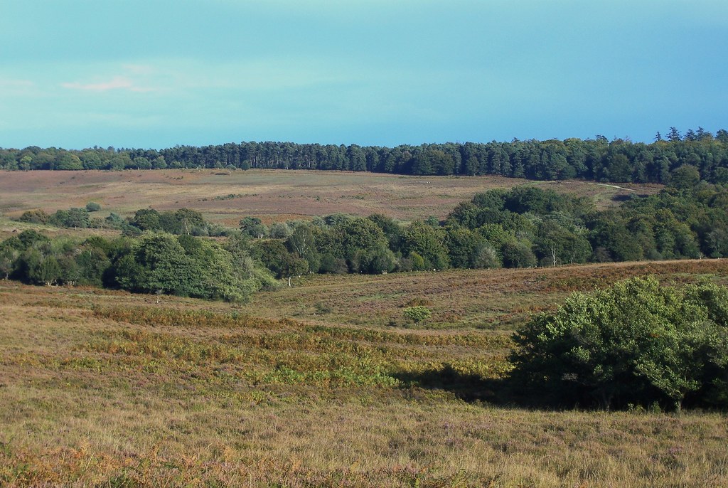New Forest Scenery 42 Near Picket Post,New Forest Nationa… Flickr