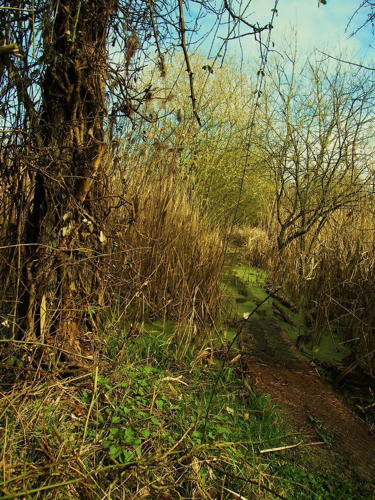 "Wildlife Trusts, Norwood Road. March Camb's UK...Nor 02 5… Flickr