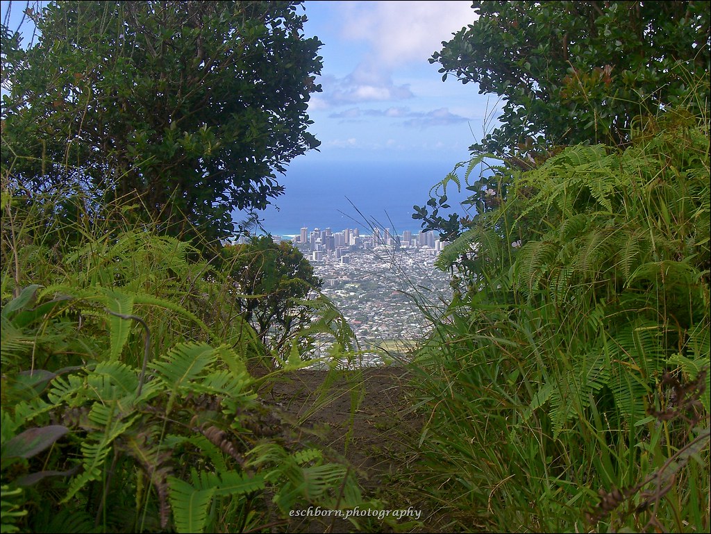 Waahila Ridge Trail Looking down towards Waikiki, Honolulu… Flickr