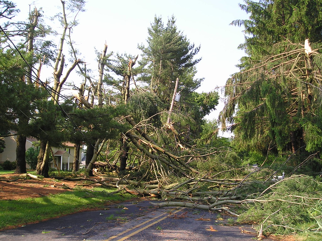 Branch Road 6 Various shots north and south on Branch Road… Flickr