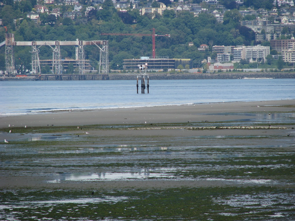 Alki Low Tide 5 Alki Beach had some extremely low tides… Flickr