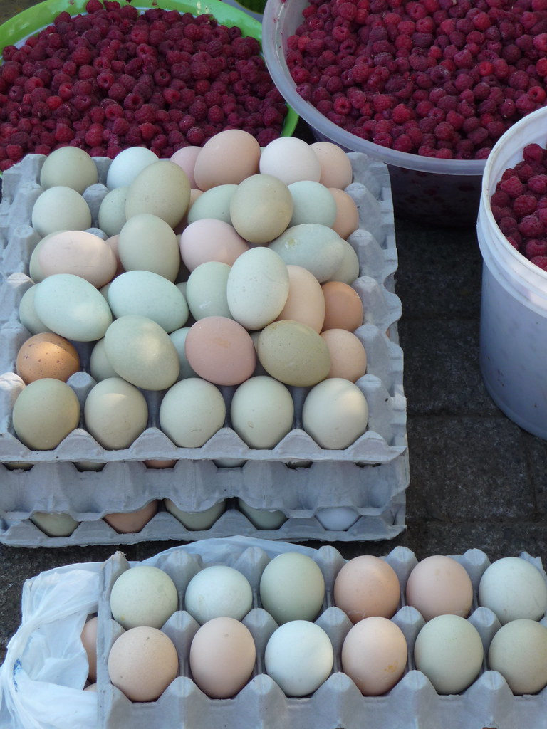 Green eggs and berries Some of the eggs in Southern Chile … Flickr