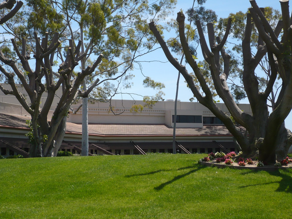 Carson City Hall Mike Flickr