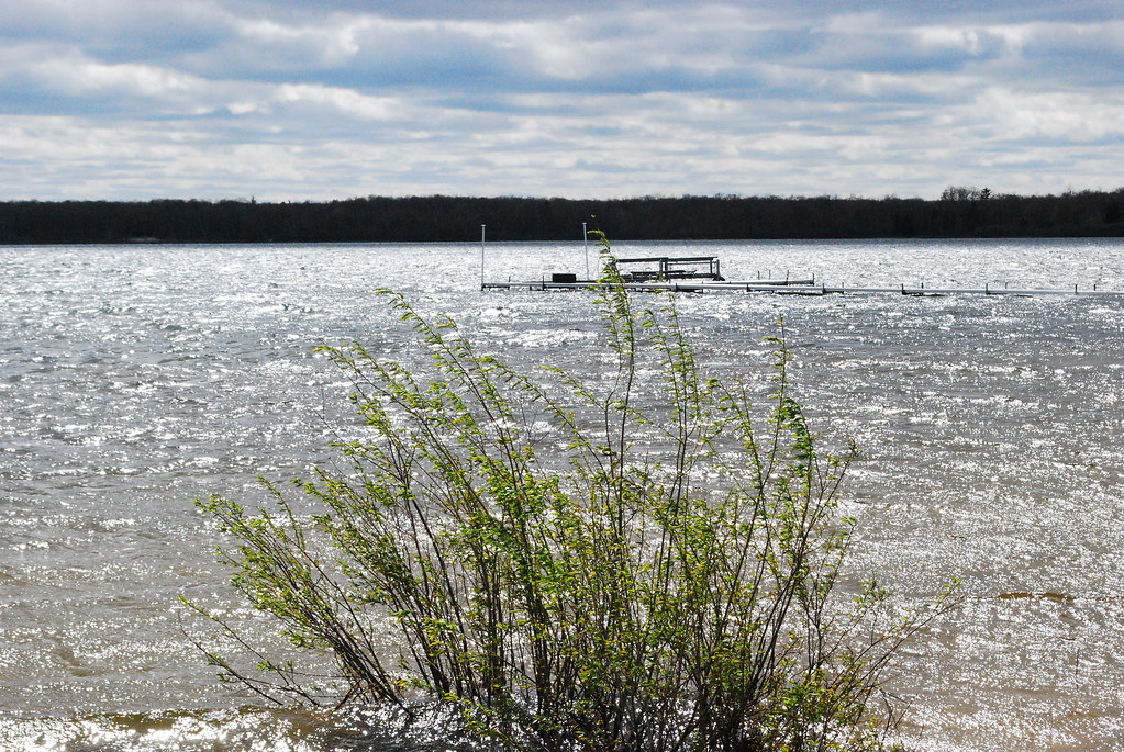 DSC_1279 Lake City, MI... Lake Missaukee, North shore Applejack 25