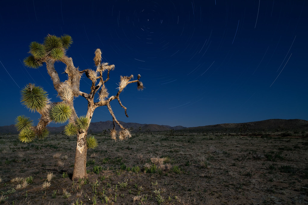 Lightning Flats, Joshua Tree National Park 2 Black Backgr… Flickr