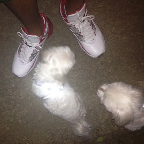Walking the dogs in my jordans jordanshoes jordansXXII … Flickr
