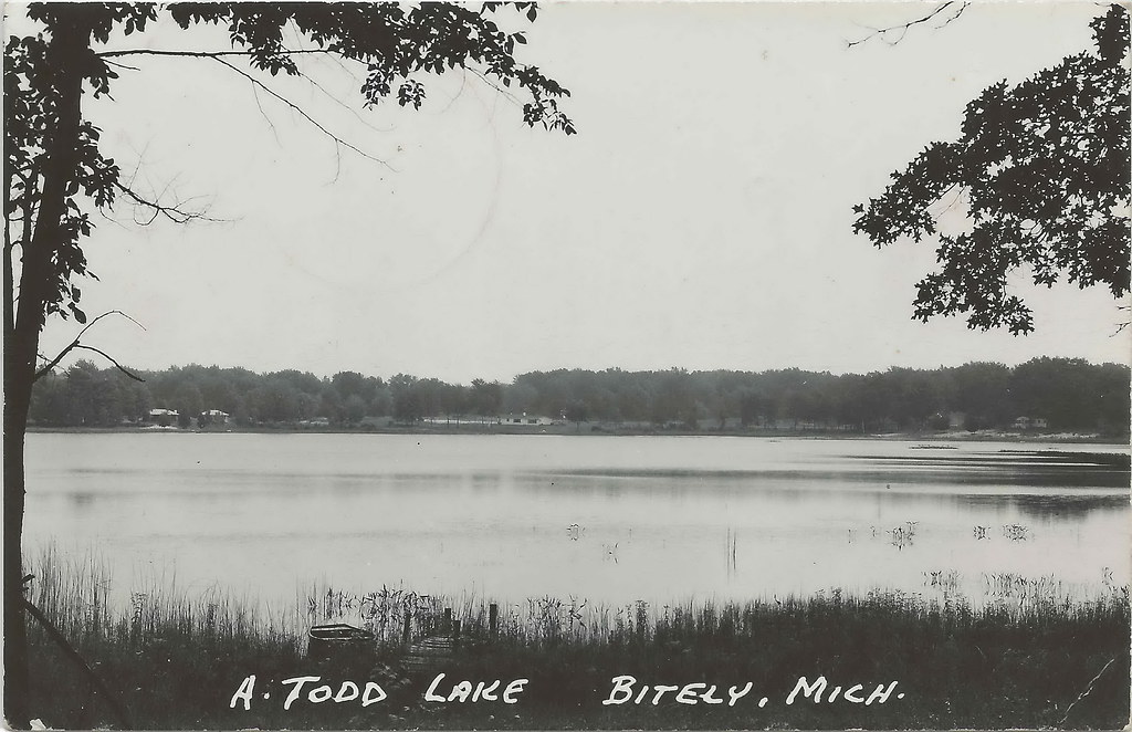 CEN Newaygo Bitley Woodland Park MI RPPC 1950s ATodd Lake… Flickr