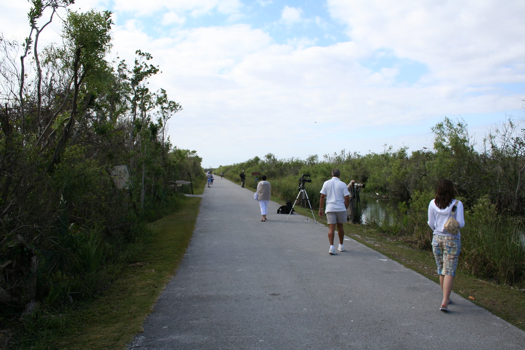 Shark Valley Tram Road and Trail (1), NPSPhoto Everglades National