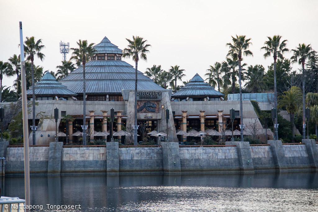 IMG_8881.jpg Nattapong Tonprasert Flickr