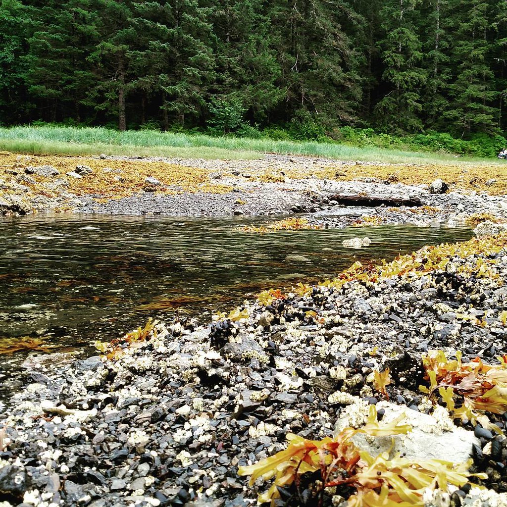 Mosquito Cove in Sitka, Alaska Tristan H Flickr