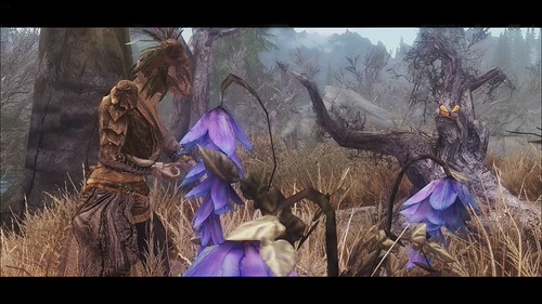 Haafingar Harvester 03 Argonian chemist/conjurer