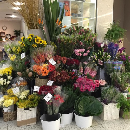 ⬅️order now Share,Like or Com… Flickr