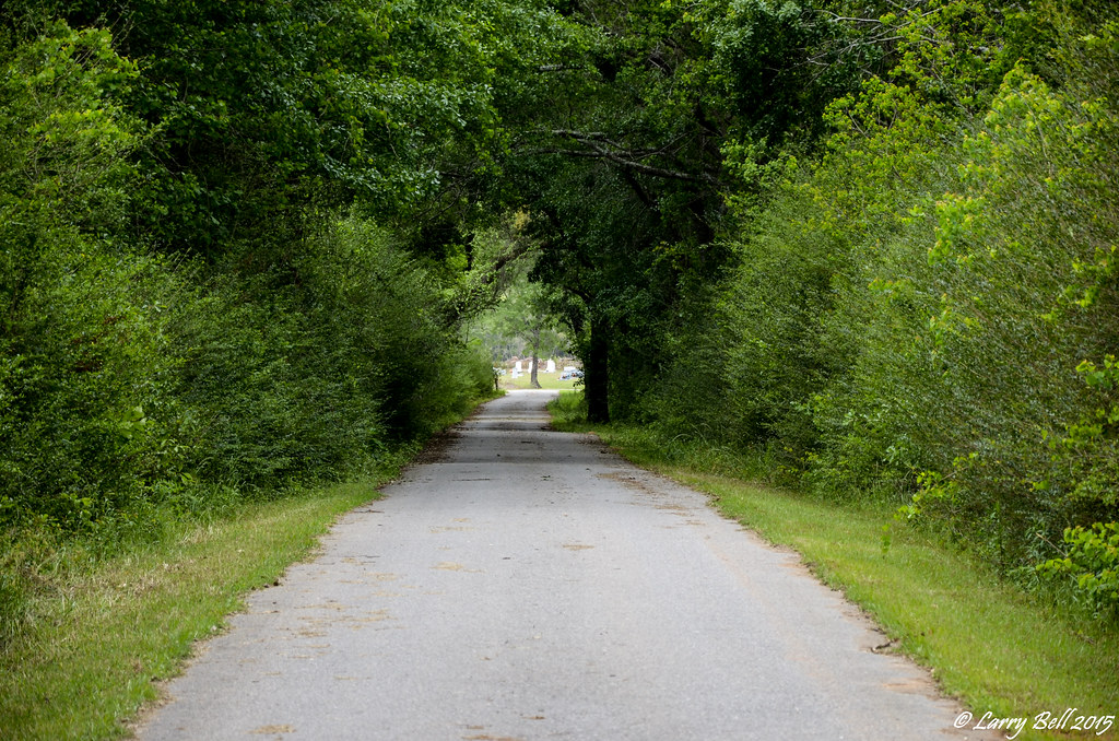 Elevation of Co Rd 65, Loxley, AL, USA Topographic Map Altitude Map
