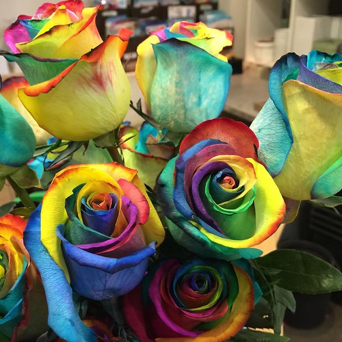 ⬅️order now Share,Like or Com… Flickr