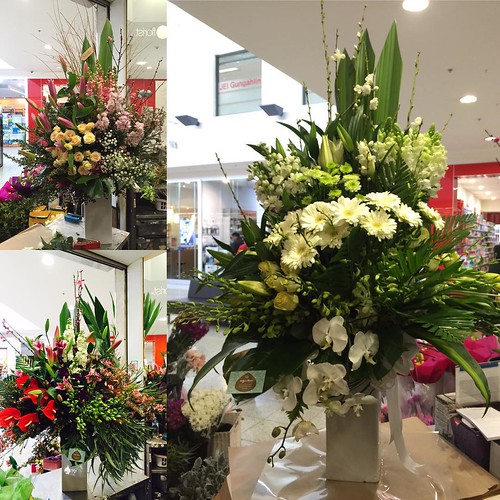 ⬅️order now Share,Like or Com… Flickr