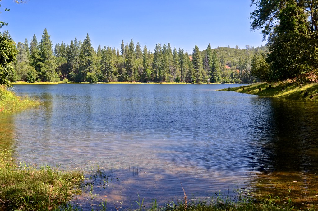 Elevation of Bald Mountain Road, Bald Mountain Rd, West Point, CA, USA