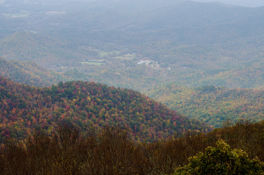 Brasstown Bald Leaves changing color on the mounta… Flickr