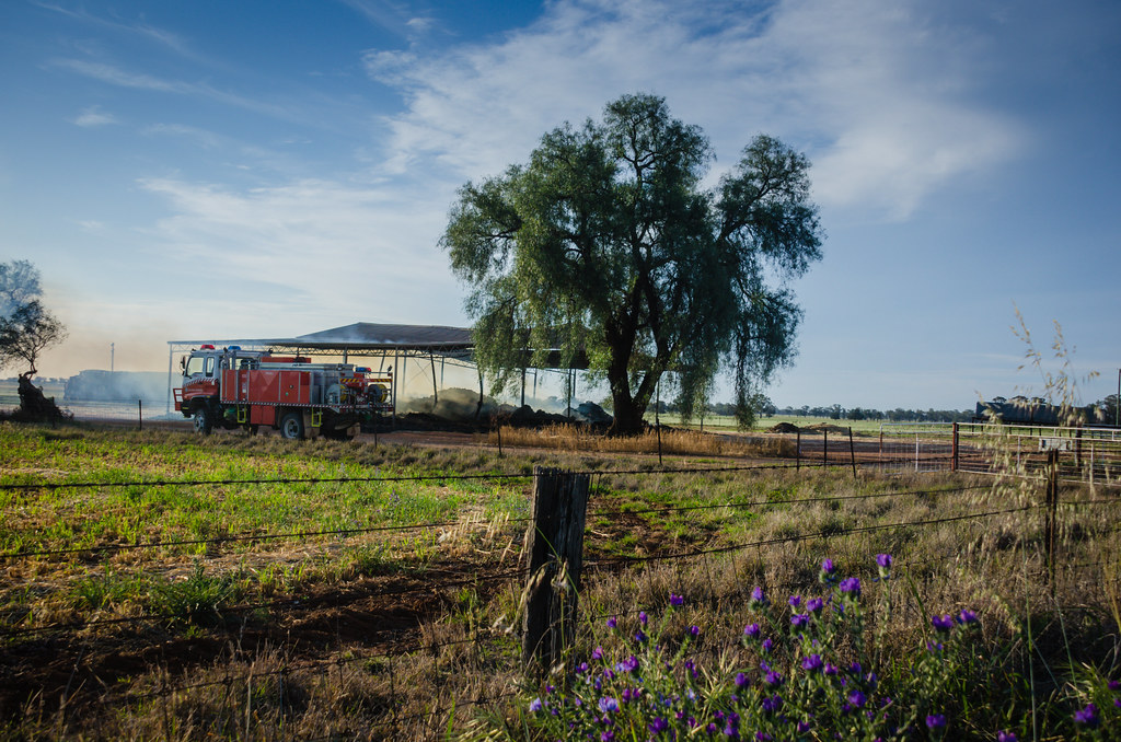 Elevation of Caswell St, Peak Hill NSW, Australia Topographic Map