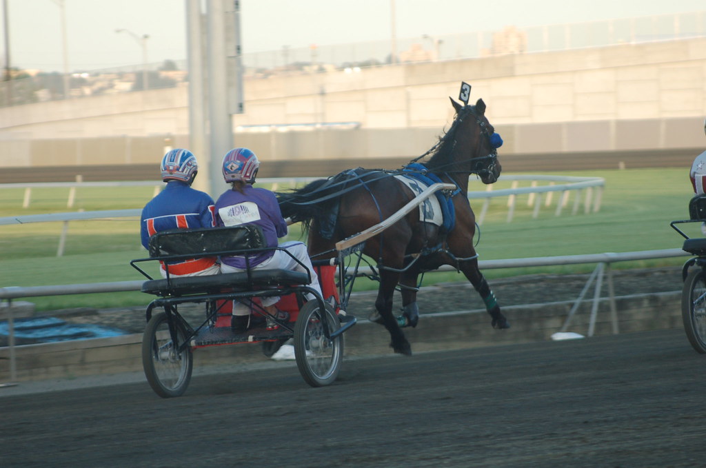2012 Broadcasters Derby Harness Racing at the Meadowlands … Flickr