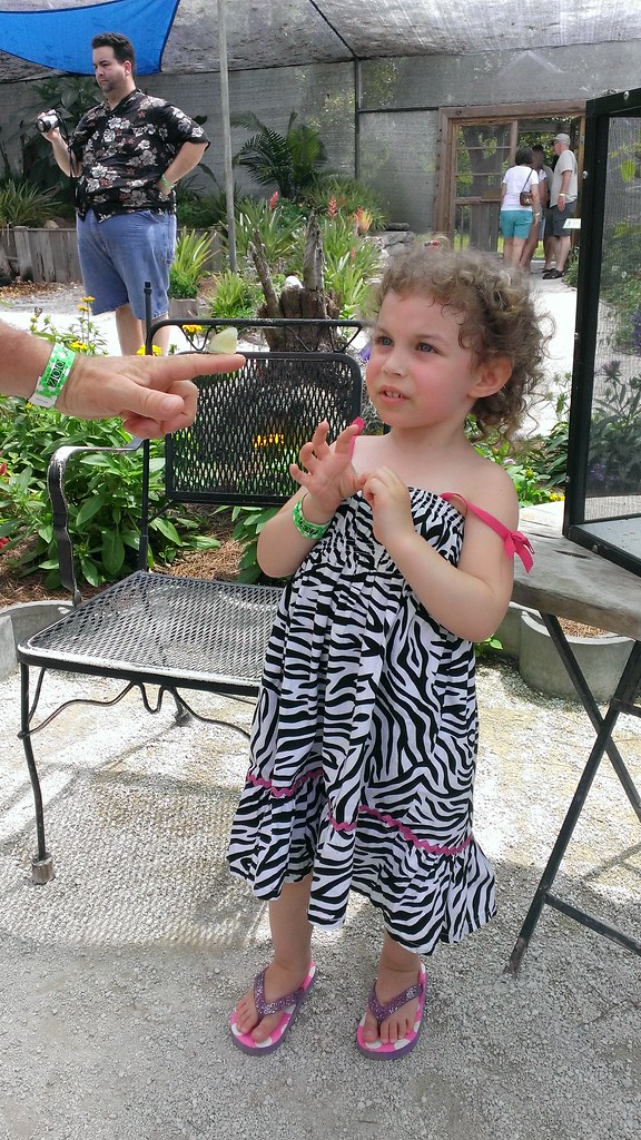 Daniela Butterfly Garden, Jacksonville Zoo, FL Irma Perez