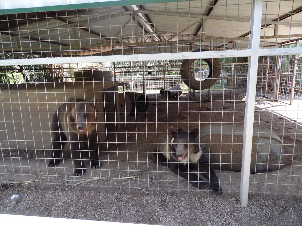 GW Exotic Animal Park '13 Flickr