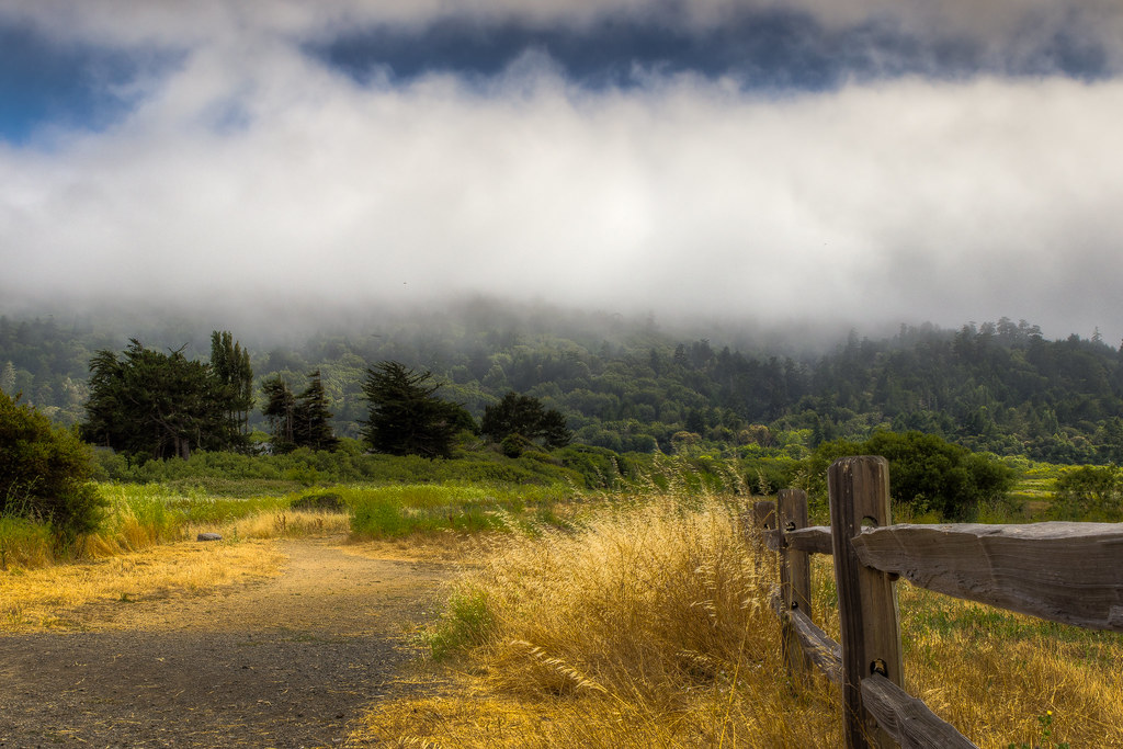 Pt. Reyes Station Fence and Path to Hills 2.jpg Peter Giordano Flickr