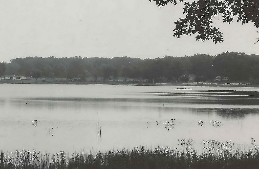 CEN Newaygo Bitley Woodland Park MI RPPC 1950s ATodd Lake… Flickr
