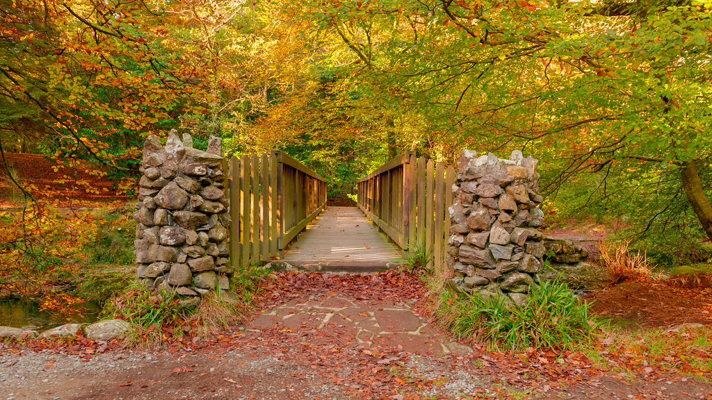 Tollymore Forest Park Autumn 2013 Deirdre Gregg Flickr