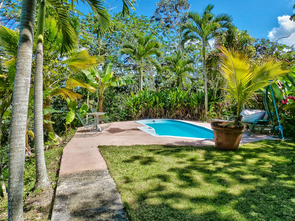 en un Pais tropical... Finca Fortuna,Maricao Borinquen....… Flickr