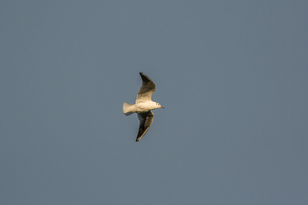 Lakes 034 Richard Farrow Flickr