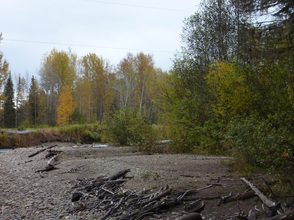 P1060801 Dome Creek Shoreline domecreek Flickr