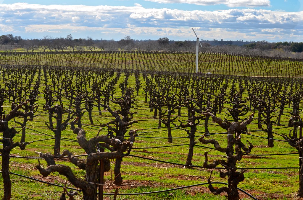 Elevation of Farnham Ridge Rd, Fiddletown, CA, USA Topographic Map