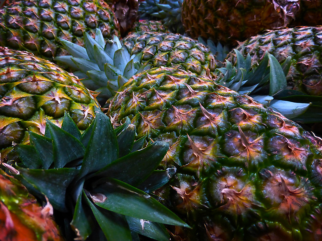 Fibonacci Sequence In Fruit