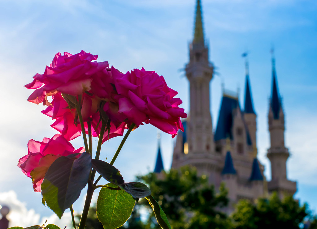 Flowers of the Castle Jimmy Espinosa Flickr