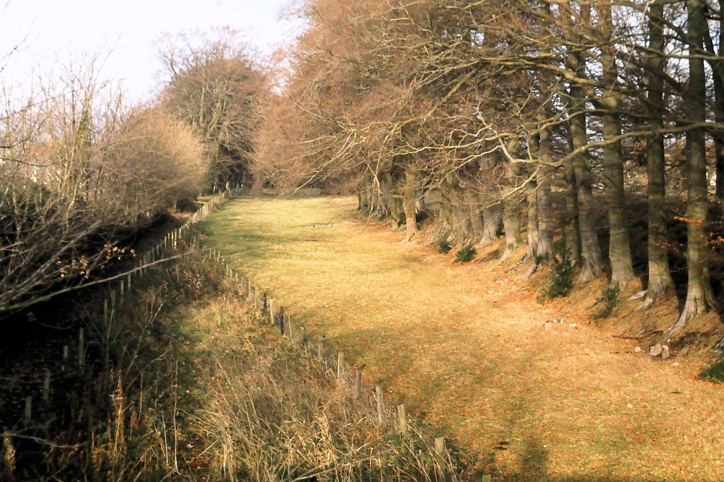 73 408 241173 Kendal Lancaster Canal bed The Canal bed of … Flickr