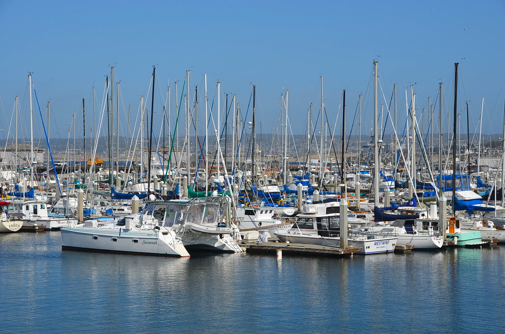 Monterey marina 5 Monterey Municipal Marina, Monterey, CA Adam