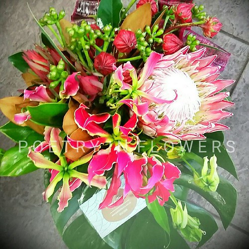 ⬅️order now Share,Like or Com… Flickr