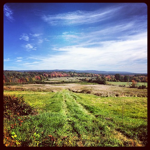 Elevation of Riverbank Road, Riverbank Rd, Northampton, MA, USA