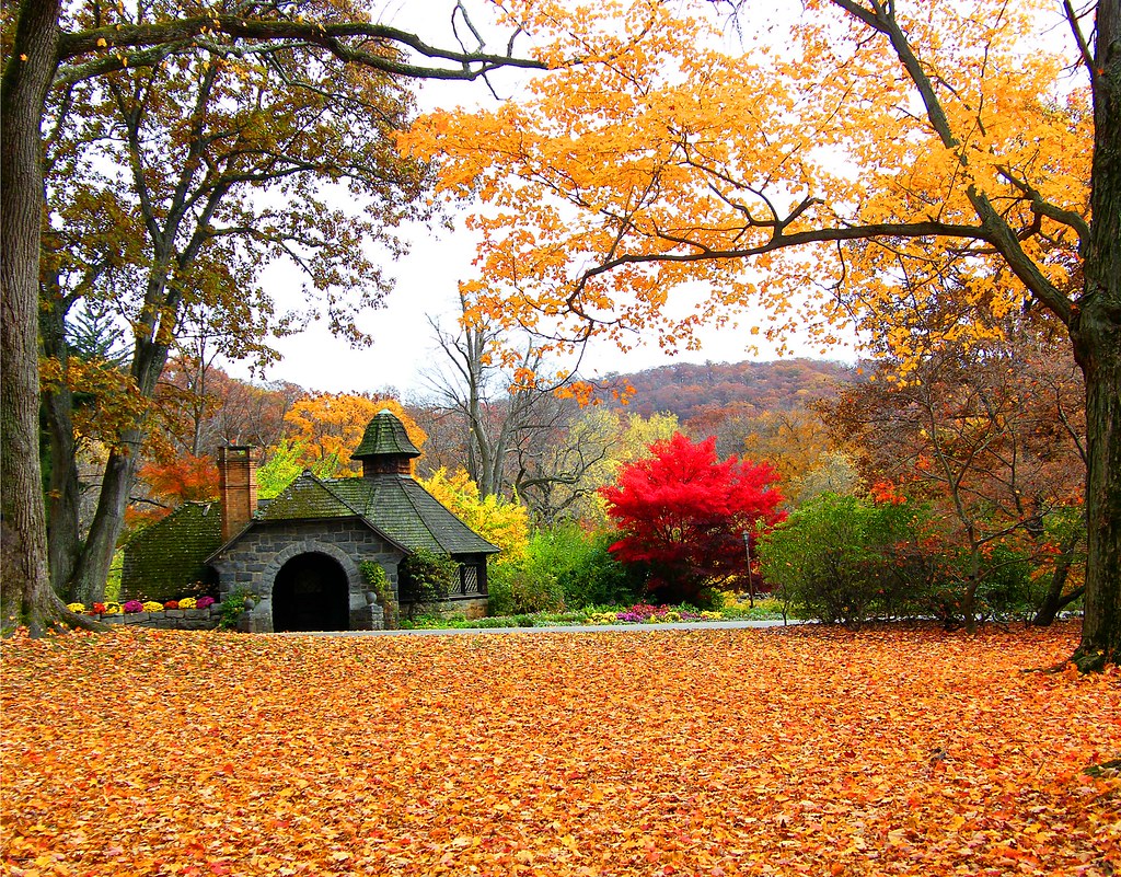 Autumn House Stanley Zimny (Thank You for 64 Million views) Flickr