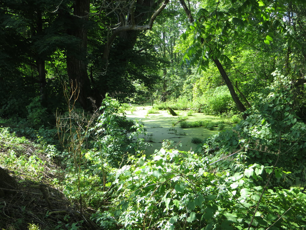 IMG_2902 1835 Oneida Lake Canal, northwest of Higginsville… Flickr