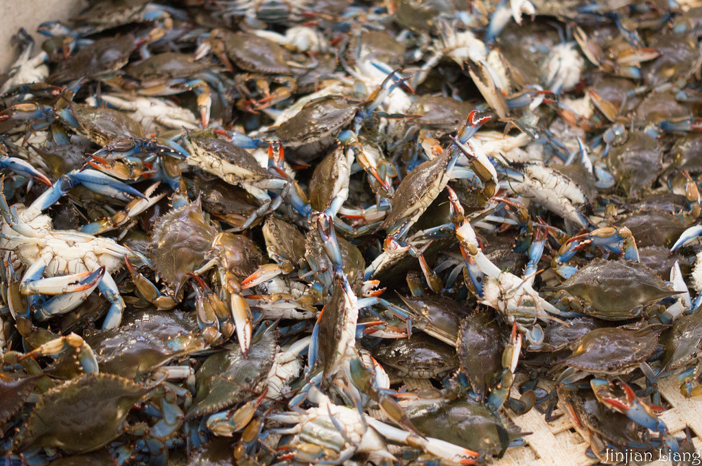 blue crab for sale Fresh Seafood & Grocery jinjian liang Flickr