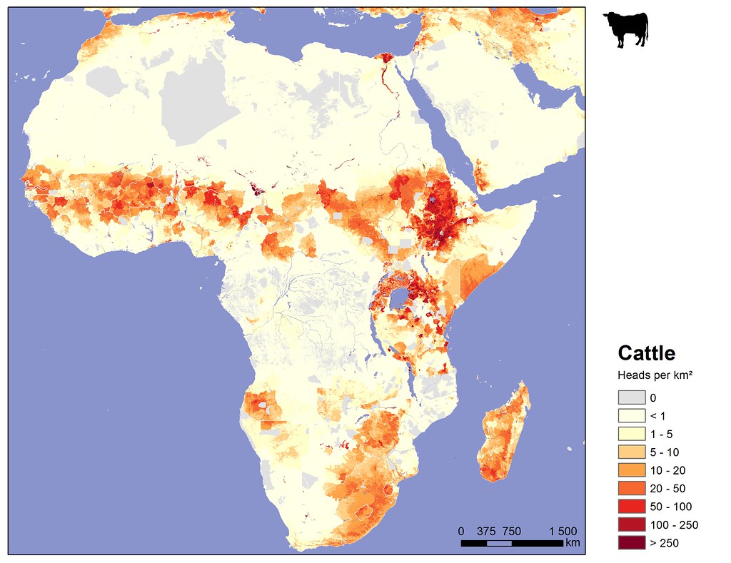 Distribution of cattle in Africa New map of the distributi… Flickr