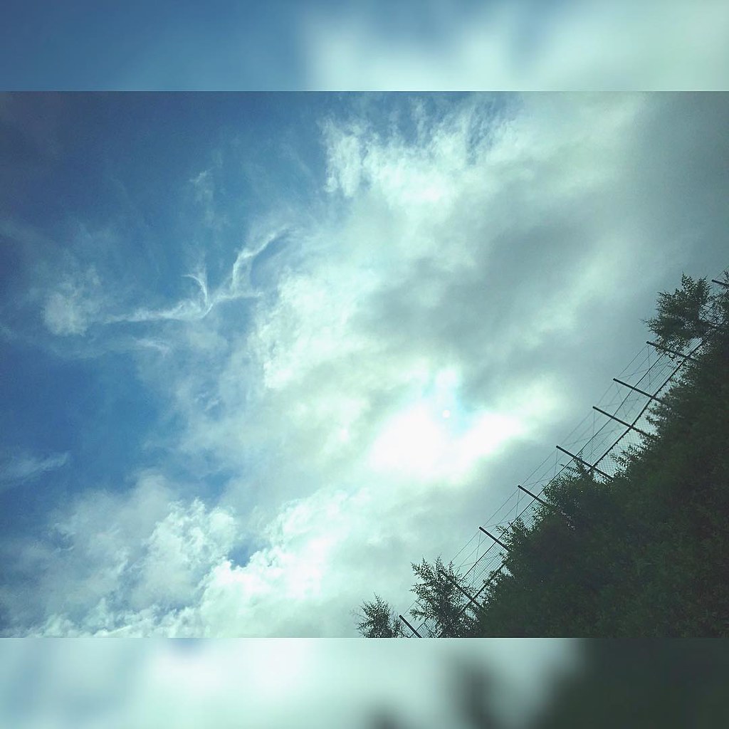 スゥィーーーッと雲の流れが早い北海道から Good Morning, World 心地良い感じです 昨日は沢山の愛を