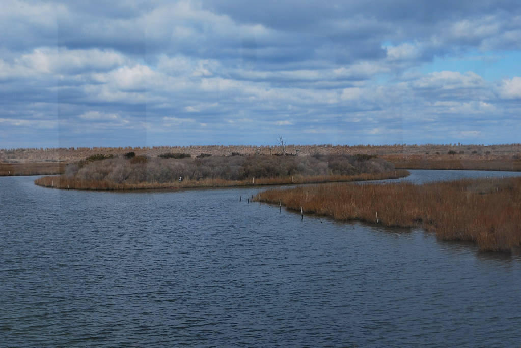 Poplar Island (March 2013) Poplar Island, in the midChesa… Flickr