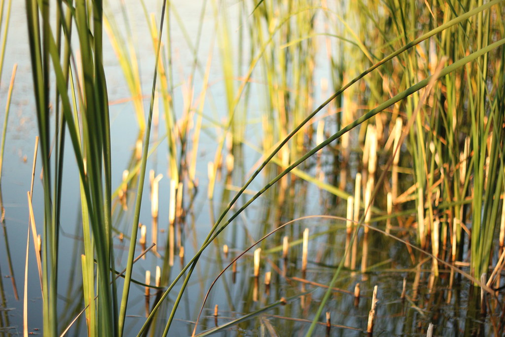 Untitled Yackley Blizzard Flickr