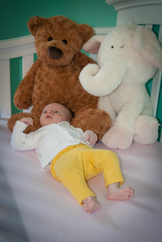 Cassidy Week 08 lehman.brad Flickr