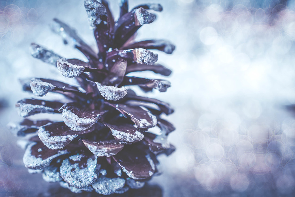 And pine cone smells of Christmas. 19 of 25 I did try the … Flickr