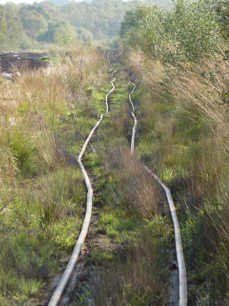 Bolton Fell 30092013 006 Alan Lucraft Flickr